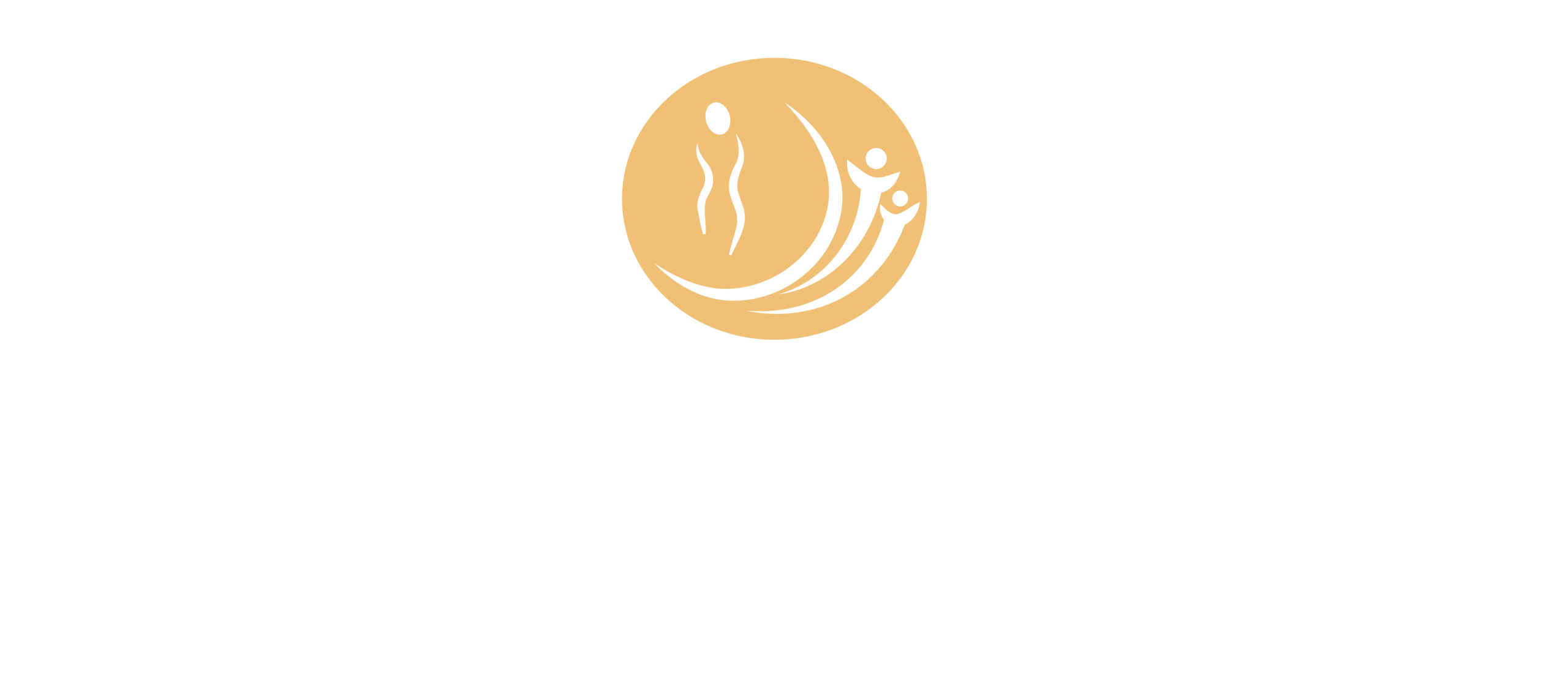 skink.com.mx